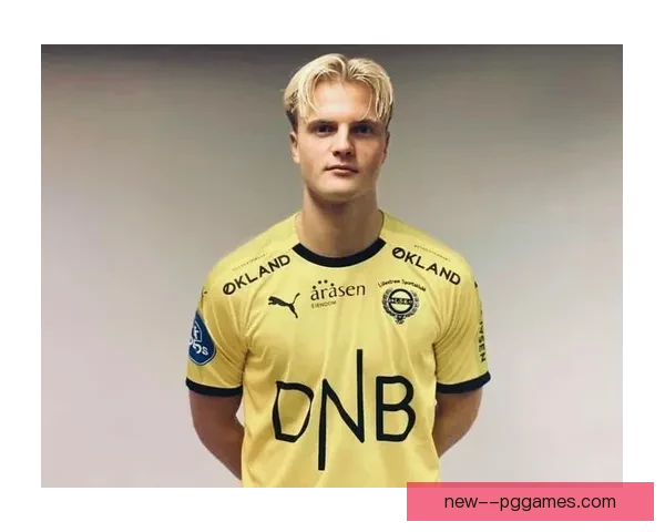 哈兰德若登陆法甲其个人能力全面统治比赛的深度解析方式与价值